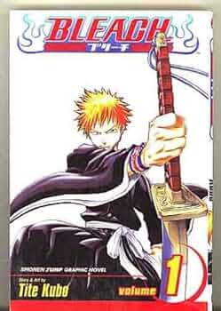 英語版　BLEACH 1-21 英語版 BLEACH 1-21 Amazon.com: Bleach Box Set (Vol. 1-21